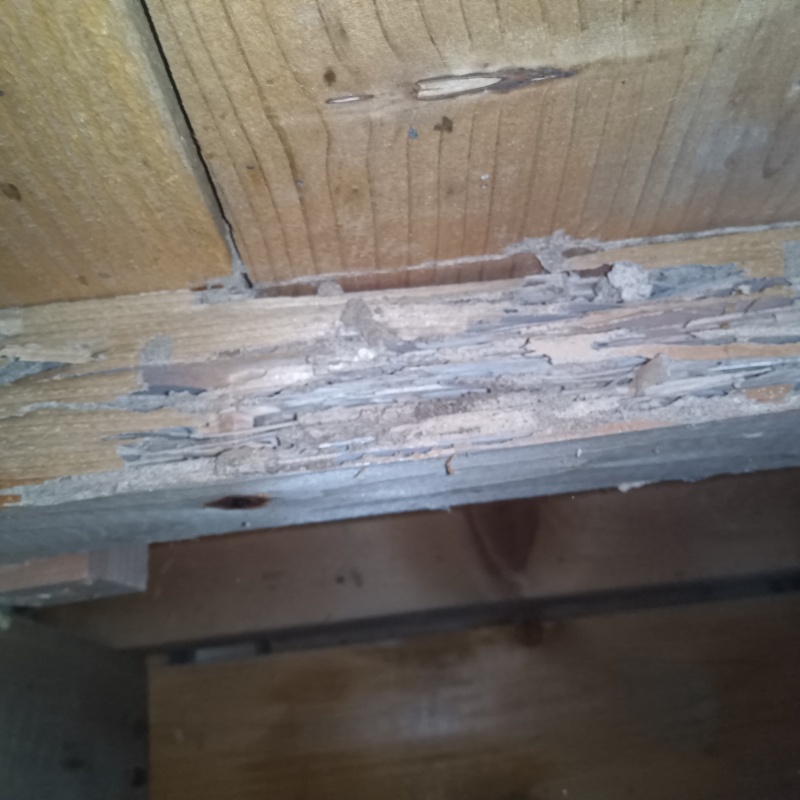 築年数28年のシロアリ予防の施工事例（神奈川県横浜市都筑区見花山）