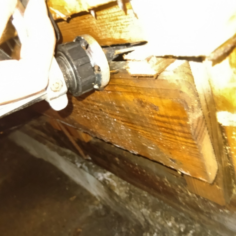 傷んだ木部にシロアリ駆除剤を注入