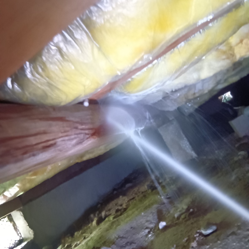 築年数50年のシロアリ駆除の施工事例（愛媛県西条市大師町）