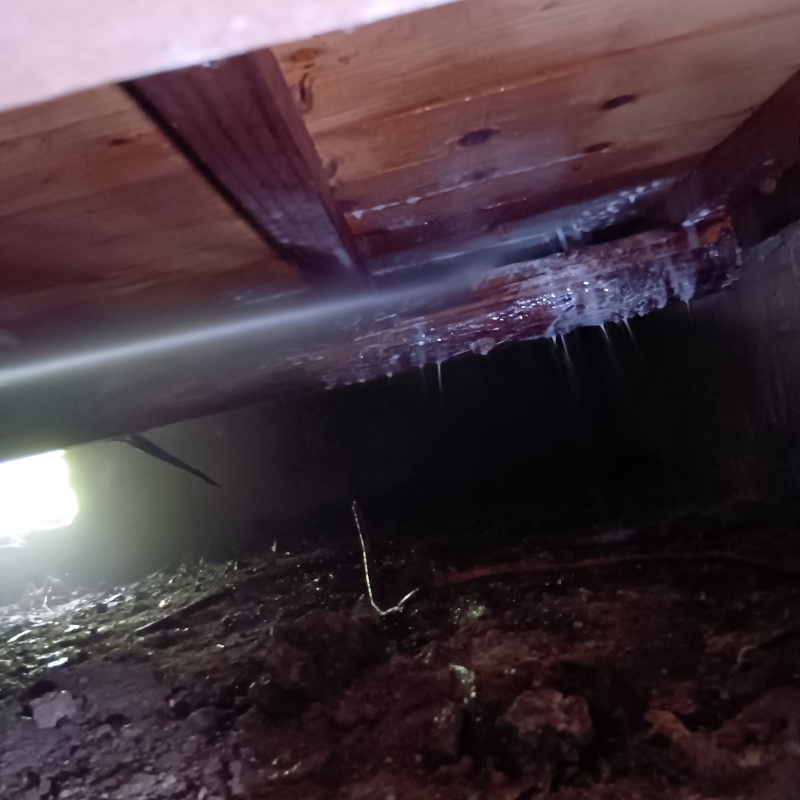 床下の木材にシロアリ駆除剤を散布