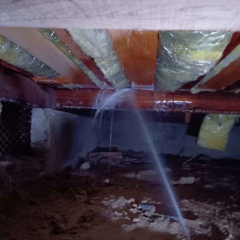 床下の木材にシロアリ駆除剤を散布