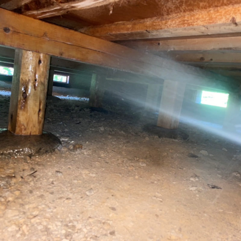 床下の木材にシロアリ駆除剤を散布