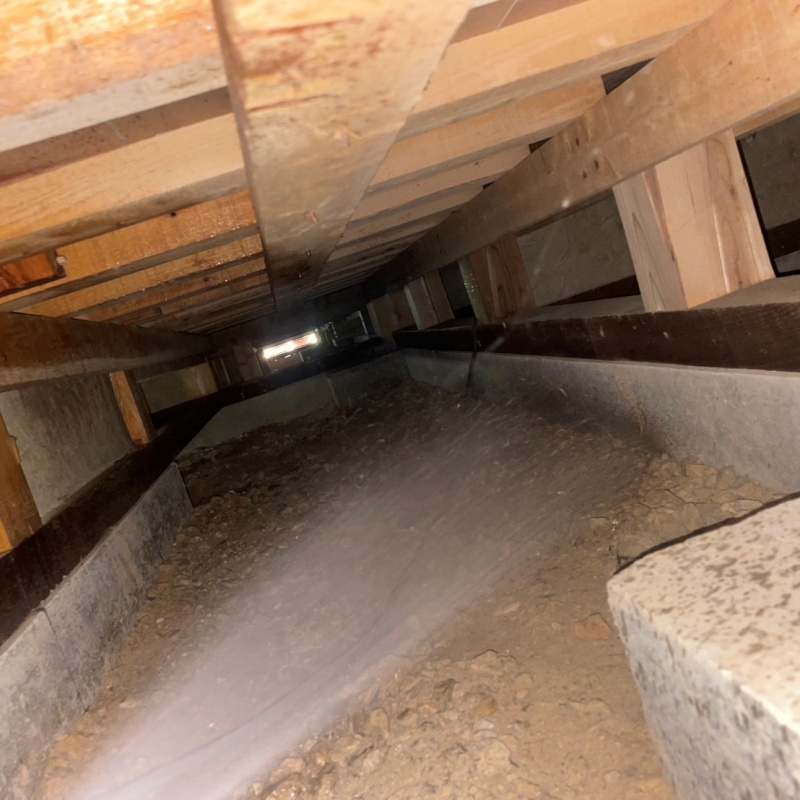 床下の地面にシロアリ駆除剤を散布