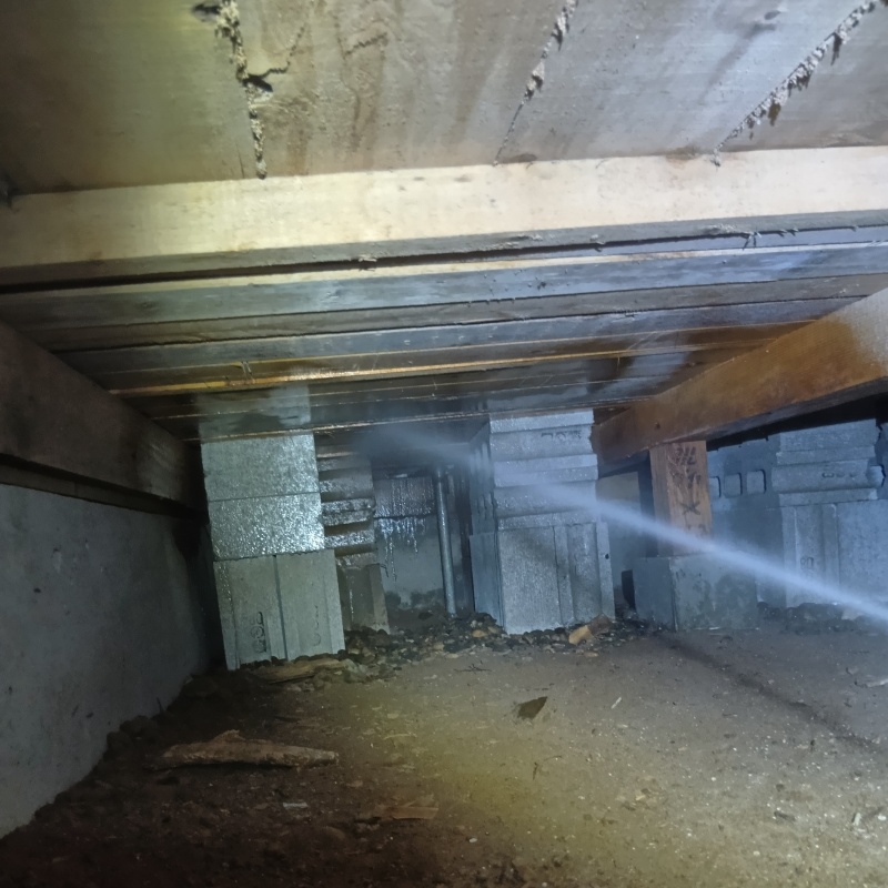 築年数60年のシロアリ駆除の施工事例（千葉県千葉市緑区あすみが丘）