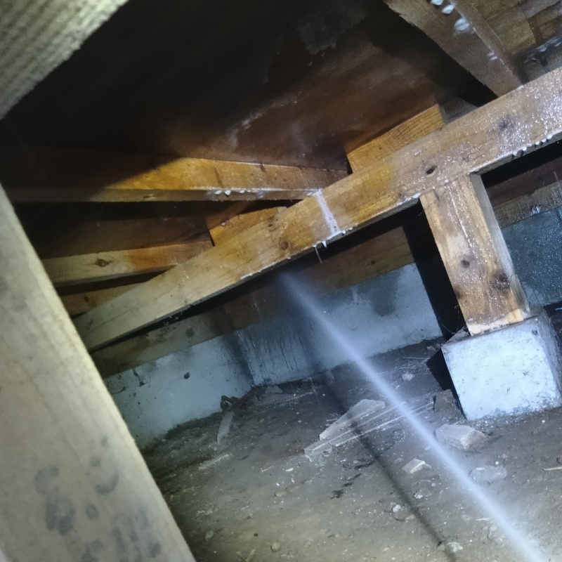 床下木材にシロアリ駆除剤を吹き付けている様子