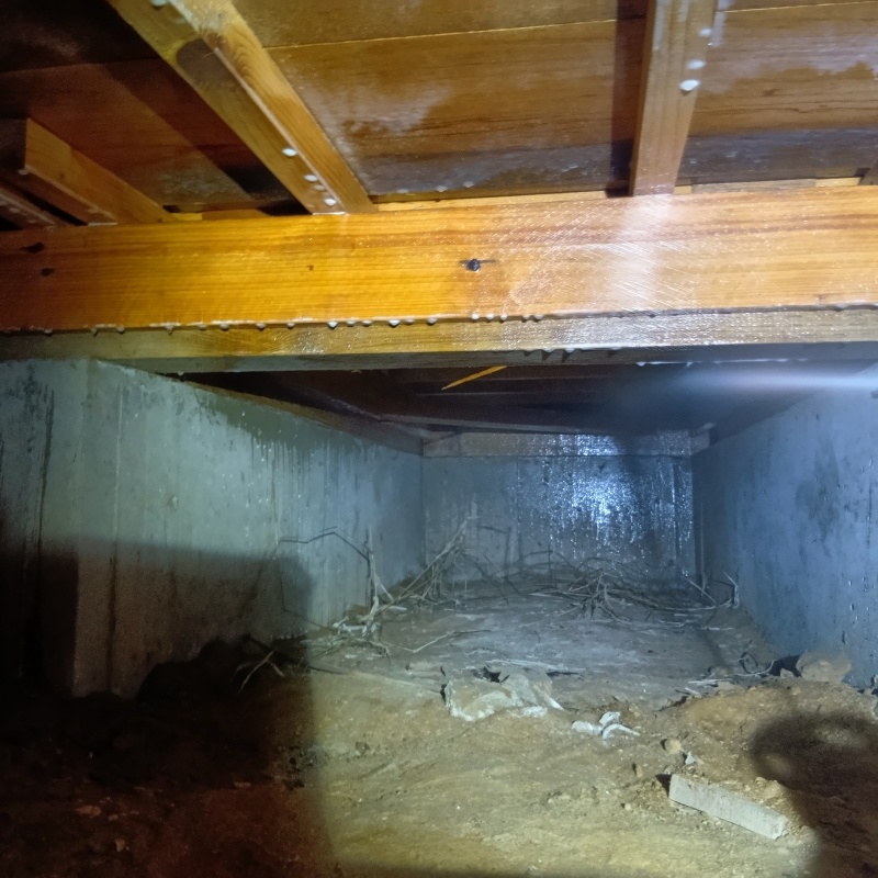 基礎に防蟻剤を散布