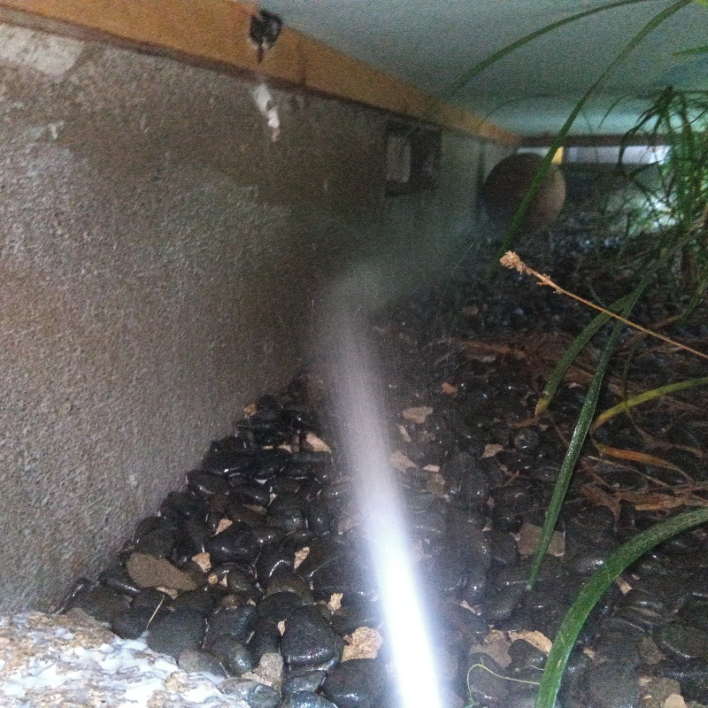 地面・基礎にシロアリ駆除剤を散布
