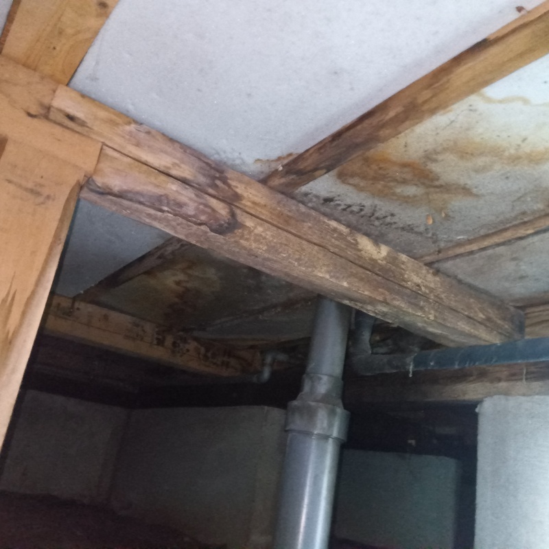 築年数40年のシロアリ駆除の施工事例（東京都豊島区南長崎）