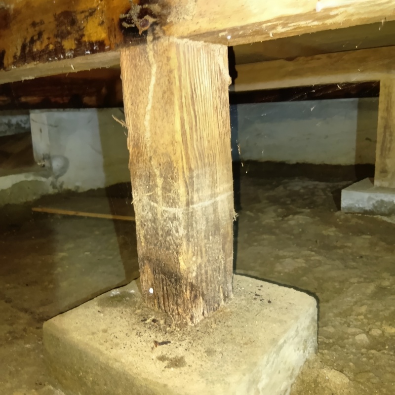 築年数45年のシロアリ駆除の施工事例（茨城県稲敷市西代）