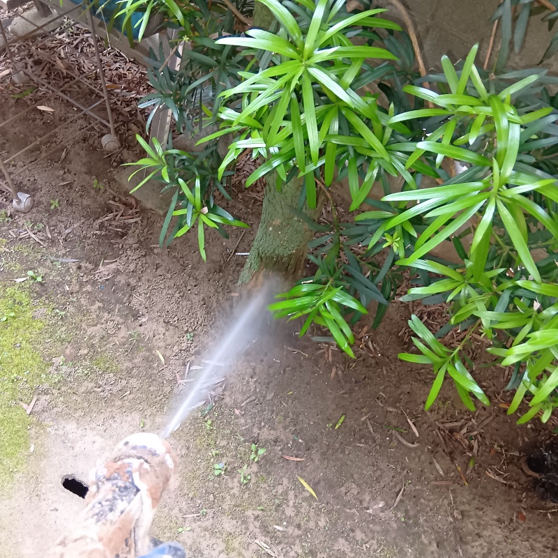 建物外周の土壌にシロアリ駆除剤を散布