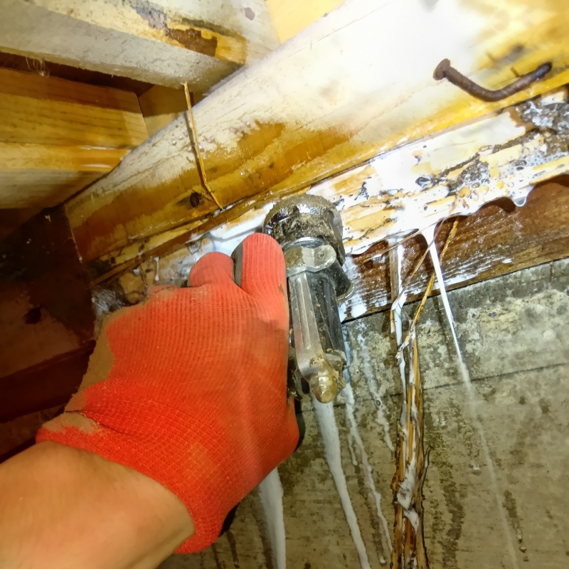 築年数37年のシロアリ駆除の施工事例（茨城県小美玉市中台）