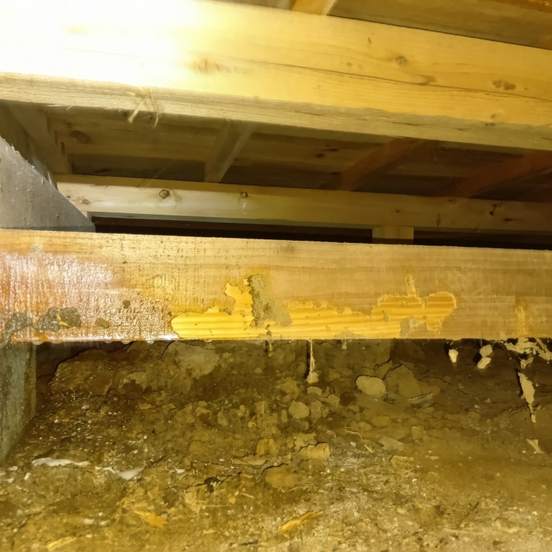 地面にシロアリ駆除剤を散布した様子