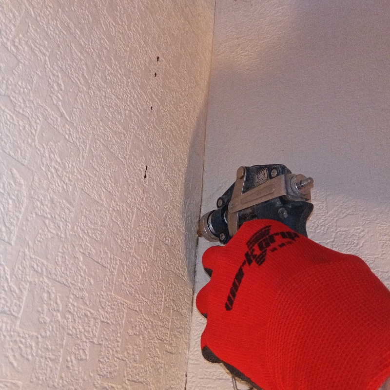 壁内部に直接シロアリ駆除剤を注入