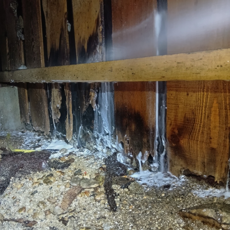 床下木材にシロアリ駆除剤を吹き付けている様子