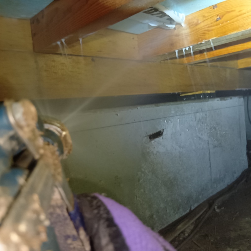 床下木材にシロアリ駆除剤を散布