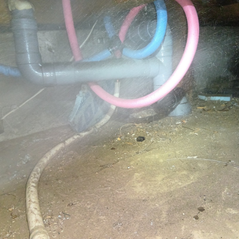 地面にシロアリ駆除剤を散布