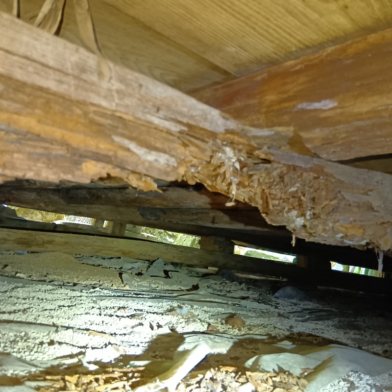 築年数100年のシロアリ駆除の施工事例（岐阜県高山市国府町瓜巣）