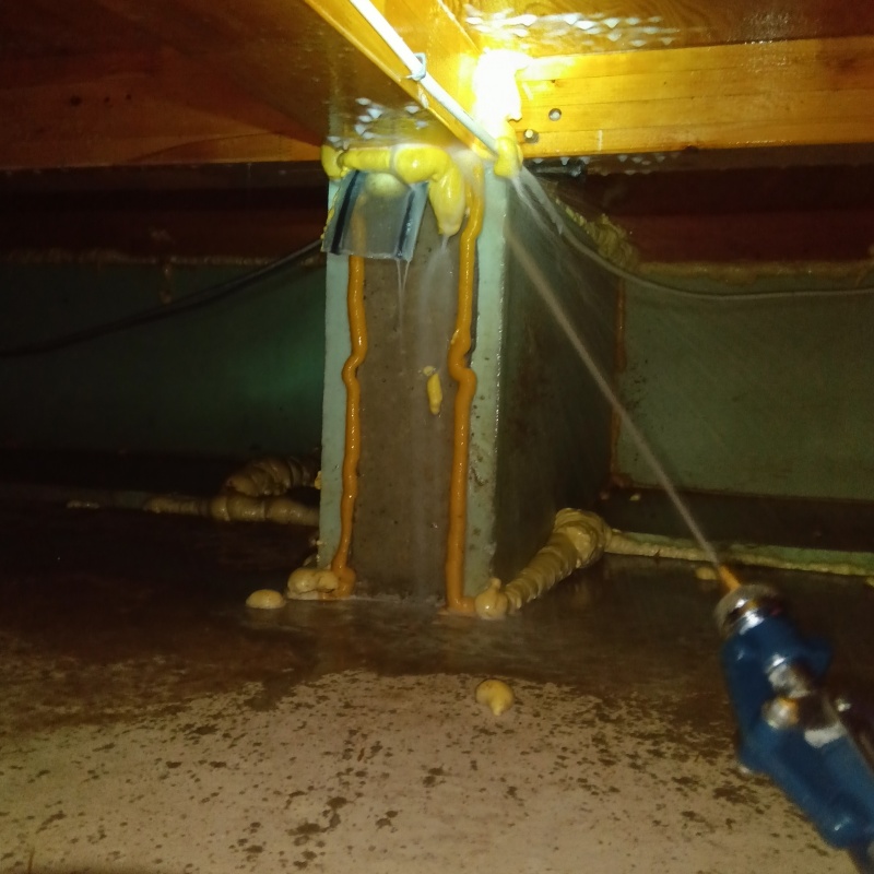 床下木材にシロアリ駆除剤を吹き付けている様子