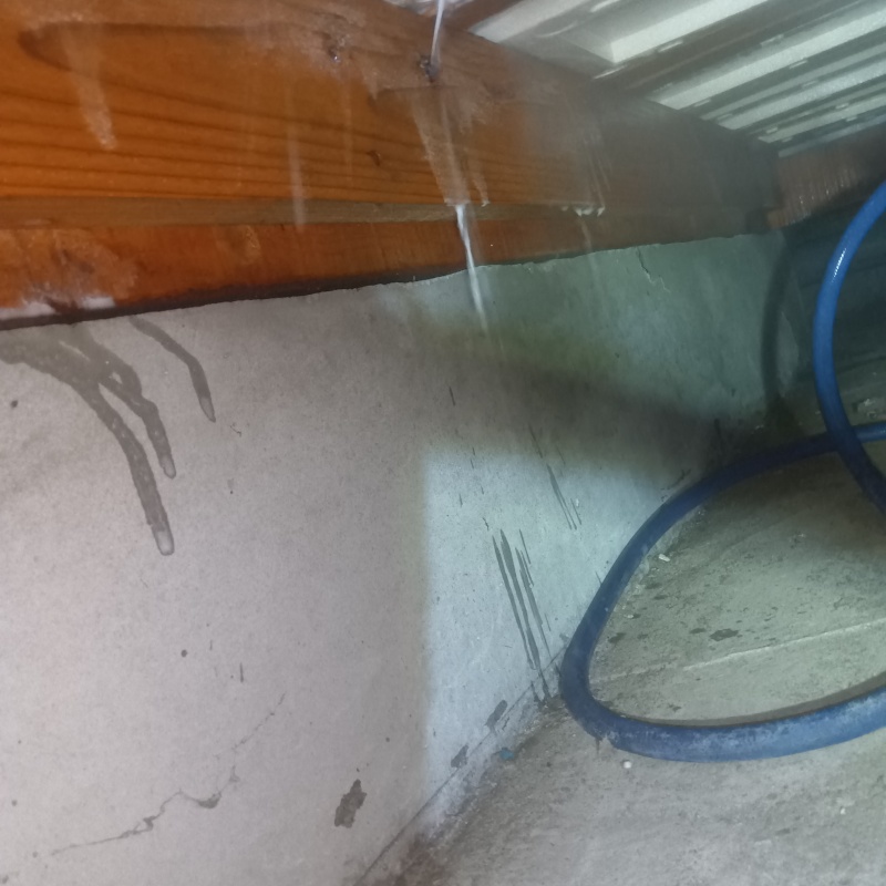 床下木材にシロアリ駆除剤を散布