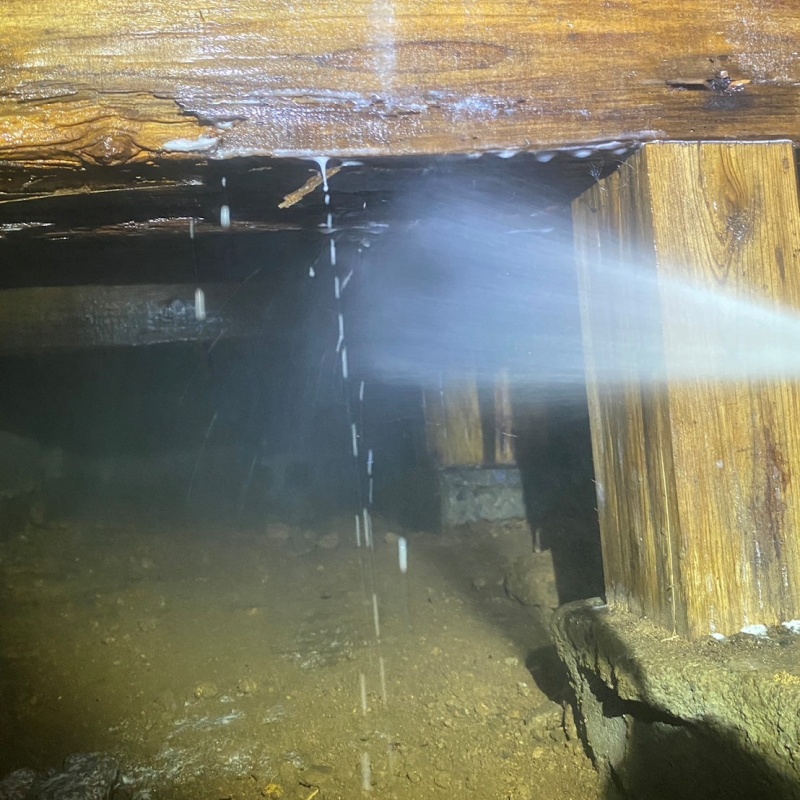 床下木材にシロアリ駆除剤を散布