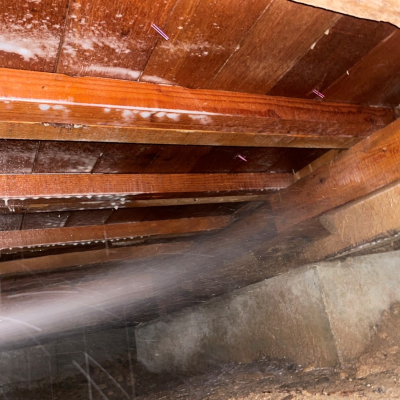 築年数50年のシロアリ予防の施工事例（愛知県豊川市一宮町）