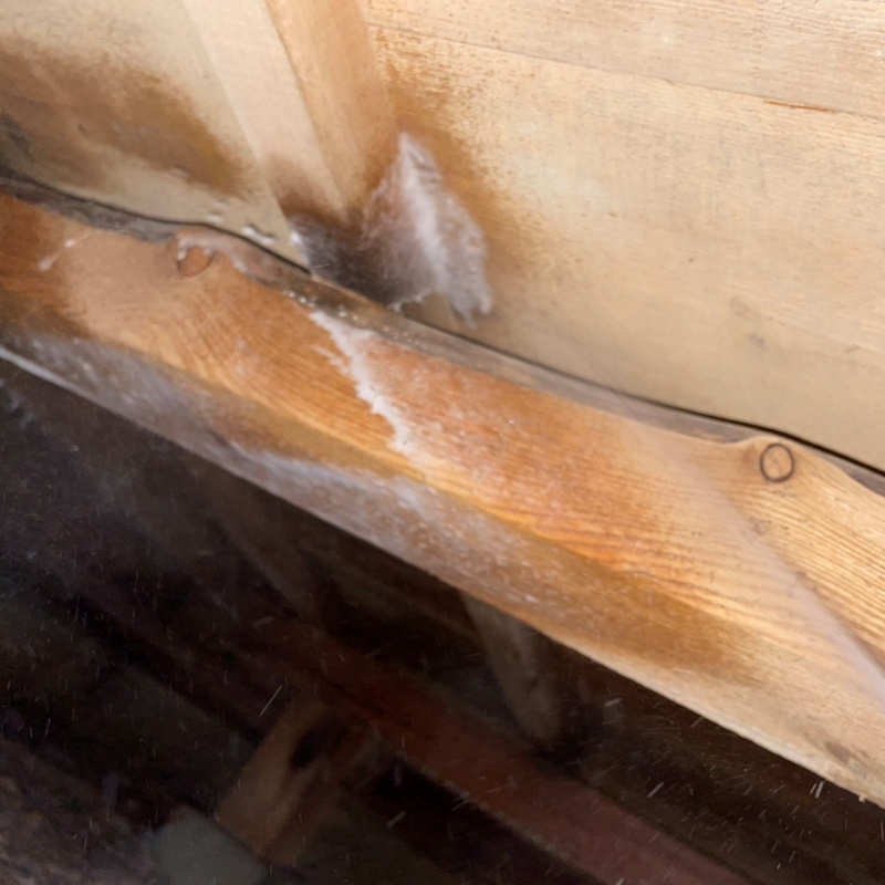 床下木材に防蟻剤を吹き付ける様子