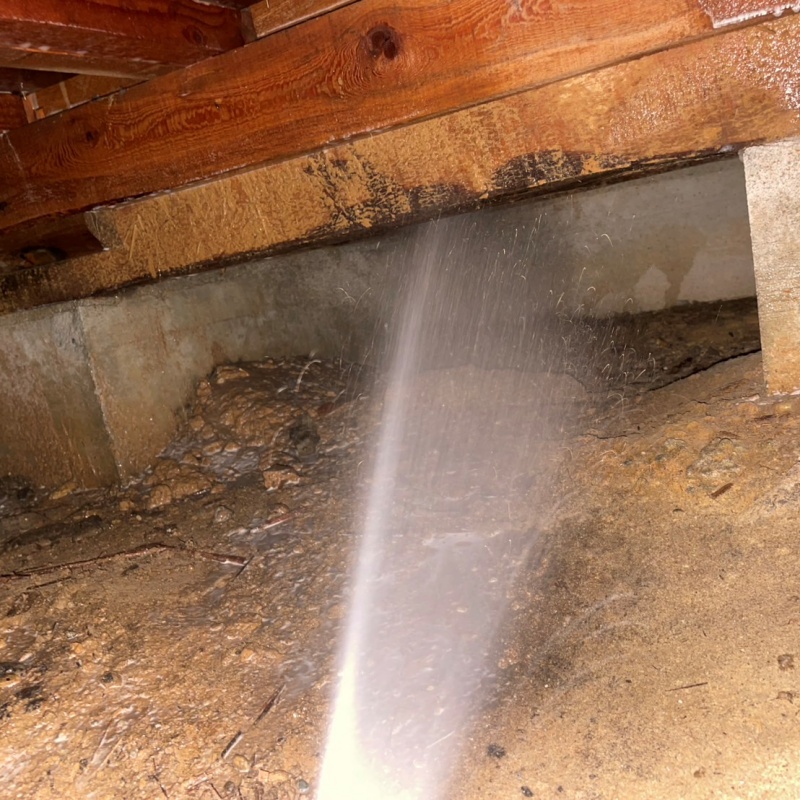 基礎に防蟻剤を散布