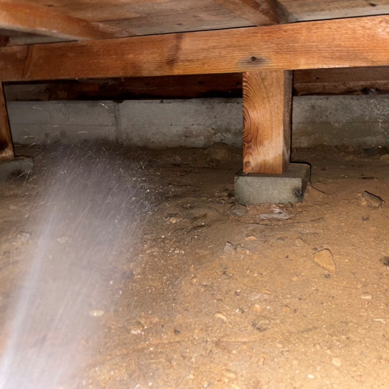 地面に防蟻剤を散布