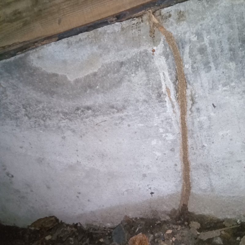 築年数40年のシロアリ駆除の施工事例（神奈川県川崎市中原区下小田中）