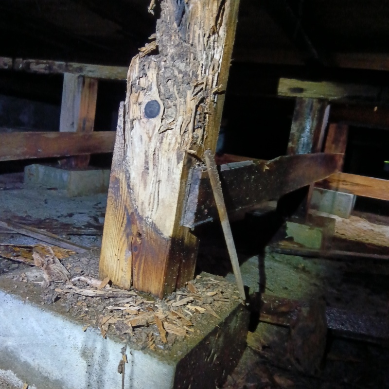 築年数44年のシロアリ駆除の施工事例（新潟県三島郡出雲崎町大門）