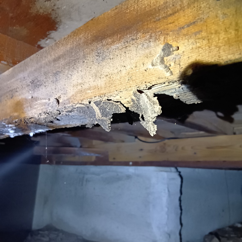 築年数49年のシロアリ駆除の施工事例（愛媛県伊予郡松前町昌農内）