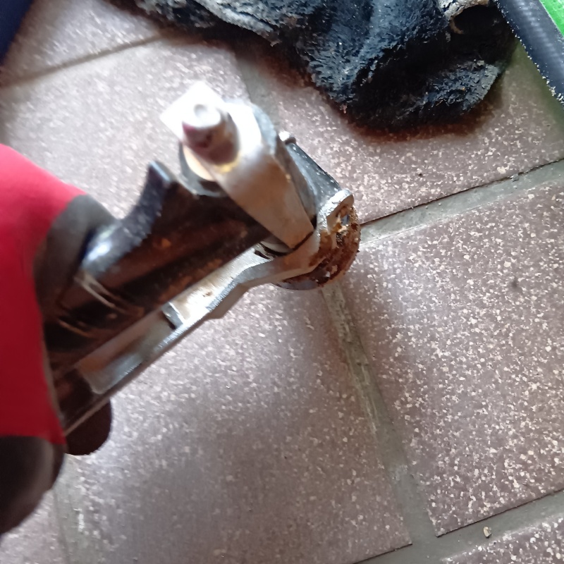 玄関床の目地からシロアリ駆除剤を注入