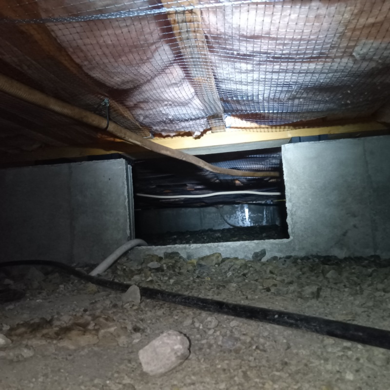 築年数20年のシロアリ予防の施工事例（神奈川県逗子市逗子）