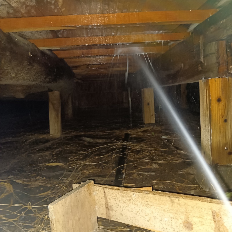 床下木材にシロアリ駆除剤を散布