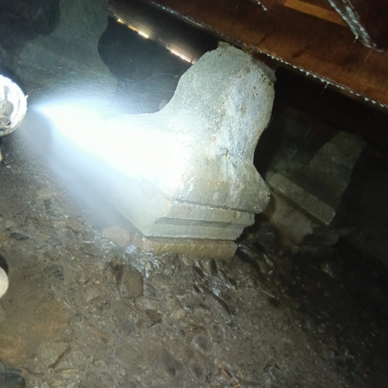 築年数50年のシロアリ駆除の施工事例（新潟県南魚沼市水尾）