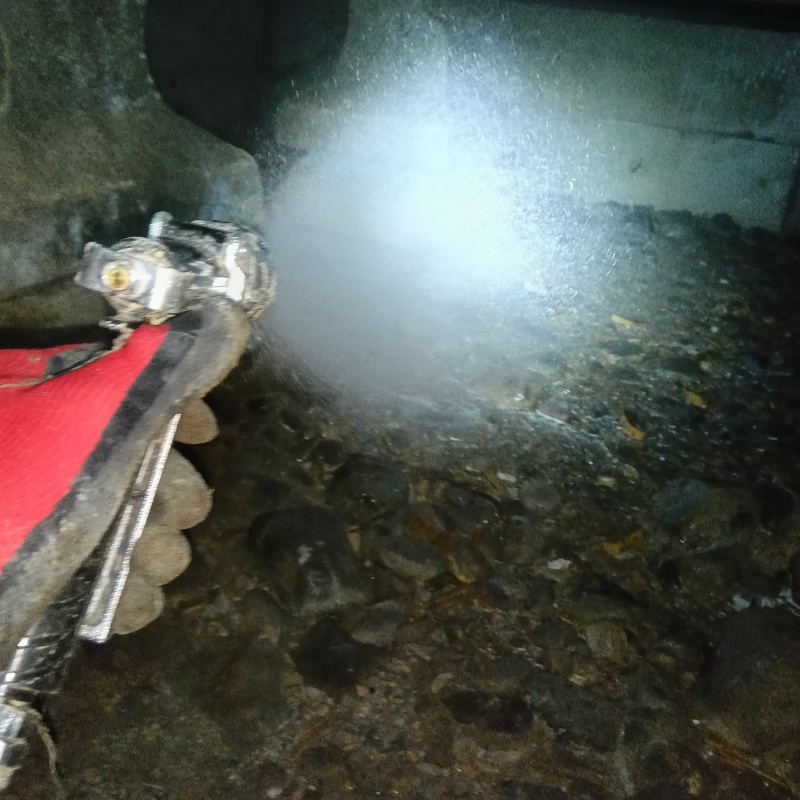 地面にシロアリ駆除剤を散布