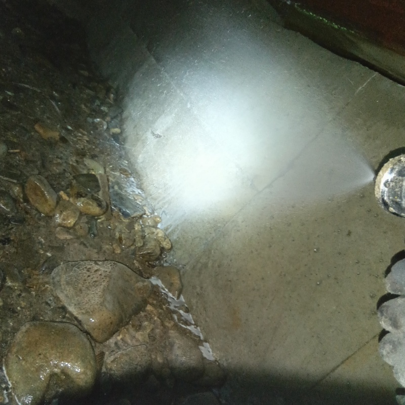 基礎にシロアリ駆除剤を散布