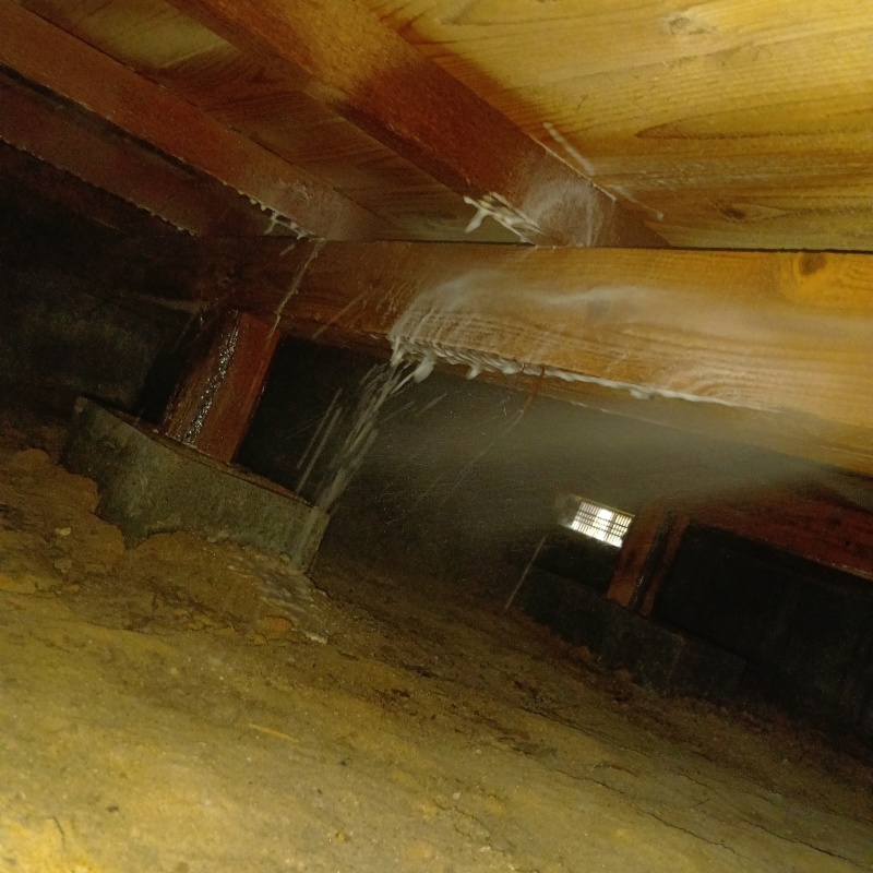 床下木材に防蟻剤を散布