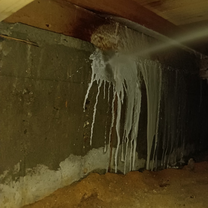 基礎に防蟻剤を散布