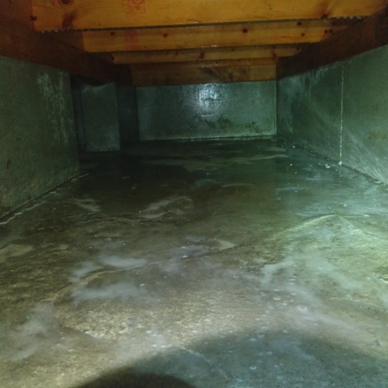 地面・基礎に防蟻剤を散布した様子