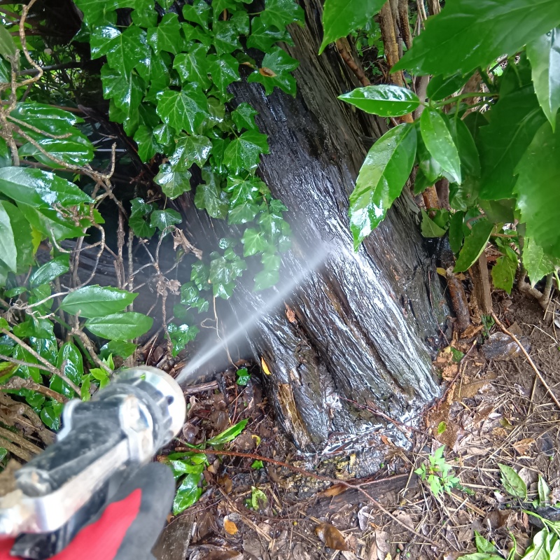 シロアリ駆除の施工事例（千葉県香取市）