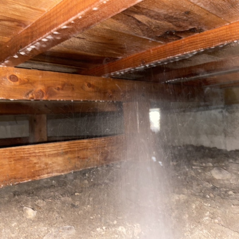 床下の木材に防蟻剤を散布する様子