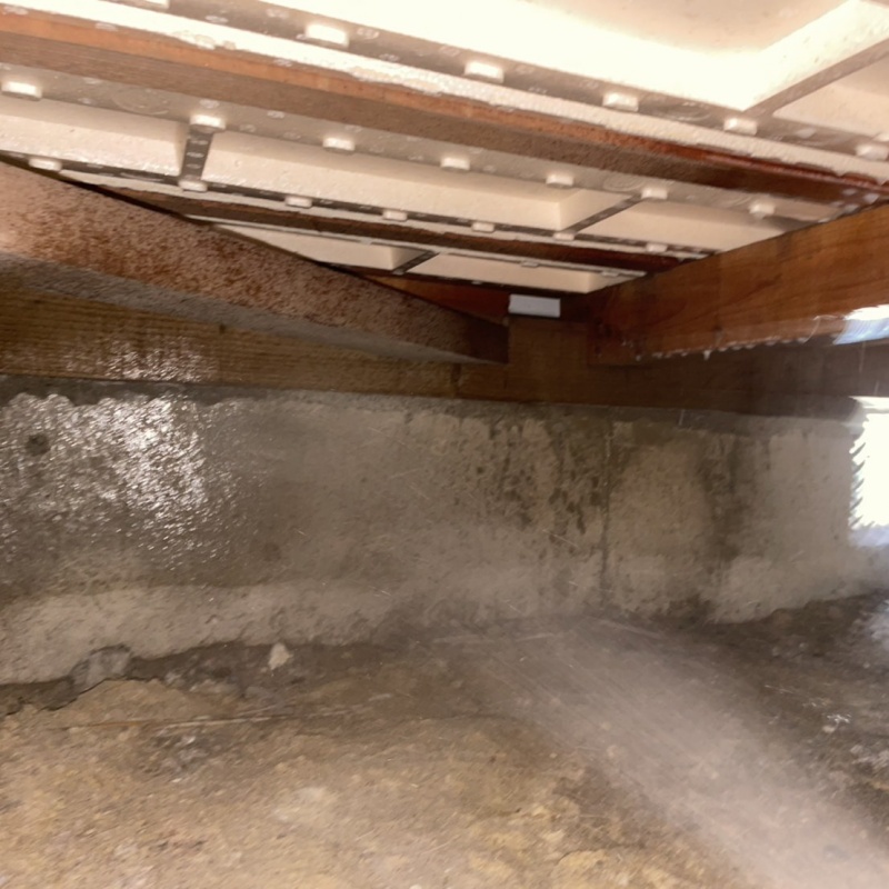 床下の基礎部分に防蟻剤を散布する様子