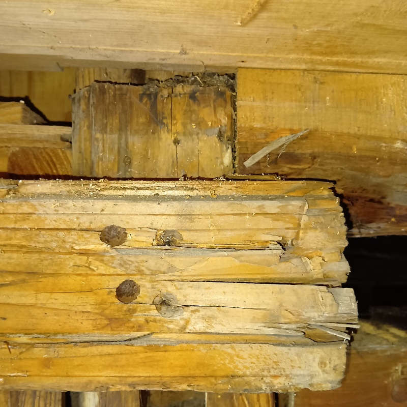 築年数60年のシロアリ駆除の施工事例（宮崎県都城市庄内町）
