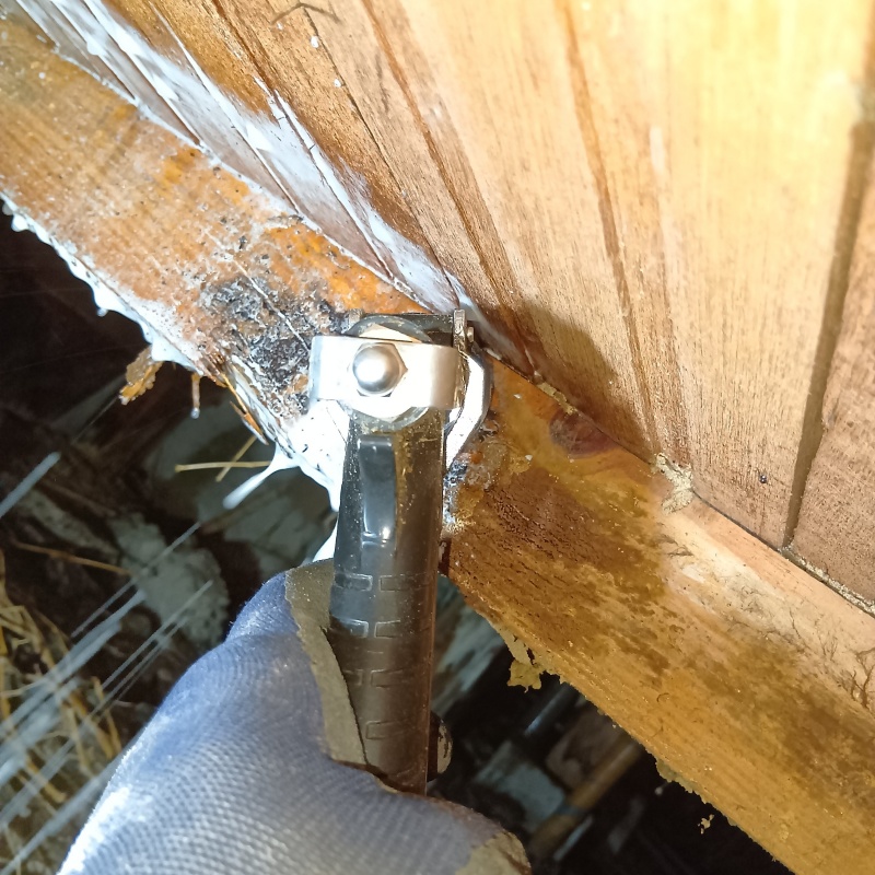 床下の木材にシロアリ駆除剤を散布する様子