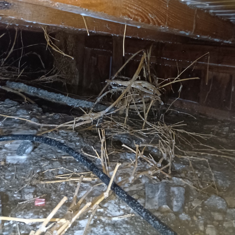 床下の土壌にシロアリ駆除剤を散布した様子