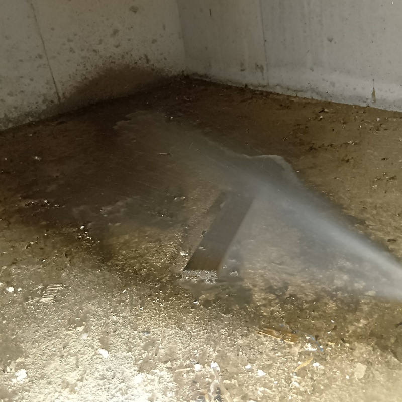 床下の土壌にシロアリ駆除剤を散布する様子