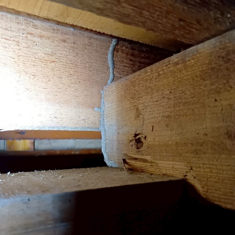 築年数30年のシロアリ駆除の施工事例（岐阜県羽島市竹鼻町狐穴）