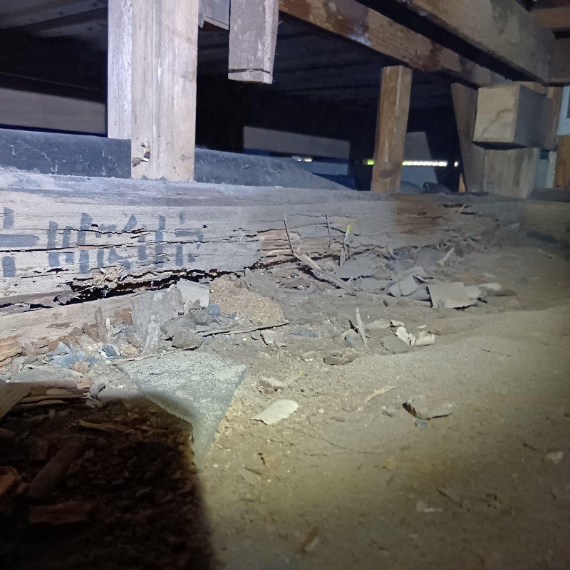 築年数60年のシロアリ駆除の施工事例（神奈川県横浜市港北区菊名）