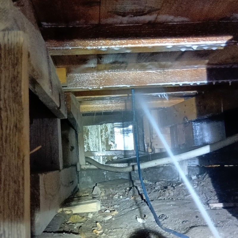 床下の木材にシロアリ駆除剤を散布する様子